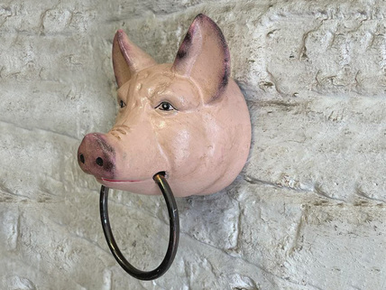 pig head with ring